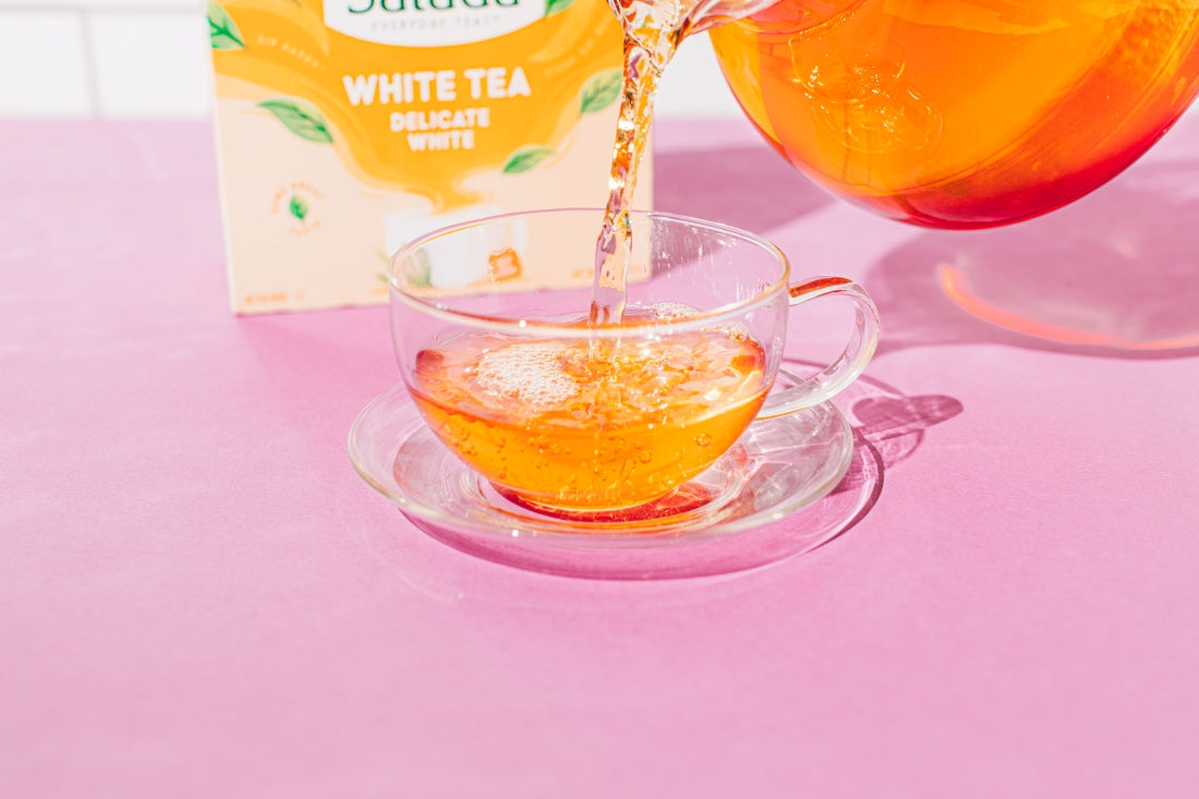 White Tea 101: White Tea Benefits and More | Salada Tea